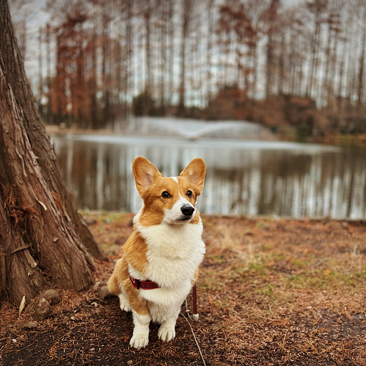 年末年始休暇スタート▶️