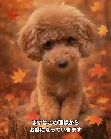 ここからはお餅になってみました
Geminiは個体別あるのかな？

ライちゃんの飼い主のスマホは

切り株好きです












