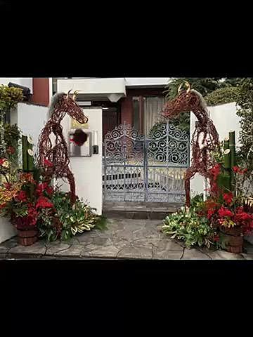 幼馴染との忘年会は友人がハマっているキャンドル作家さんとカフェのコラボディナー🍽️

その前に友人宅にお邪魔して間も無く1歳のトイプーちゃんと戯れました😍
人懐っこくてよく寝る眠る可愛子ちゃん💕
それにしても友人宅の干支のお正月飾りが凄い🫏
ハッピーと私にクッキーのプレゼント🎁
お祝い膳にも使わせてもらったよ🦴