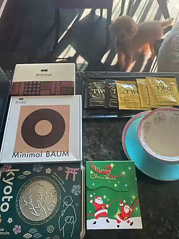 また来年👋と挨拶したのに28日夜に明日暇だからハッピーに会いに行って良い？
と幼馴染に聞かれおいでー💗となり昨日は朝から5時間ノンストップで急いで大掃除🧹
とりあえず最低限の掃除が終わった頃にはヘトヘトでスッピンメガネ姿のままお出迎えとなりました😂
大学生の娘ちゃん、11ヶ月のトイプーちゃんと楽しい時間になりました🐶

無趣味な私に常に刺激と気付きを与えてくれ大掃除の機会を作ってくれた友に感謝😆