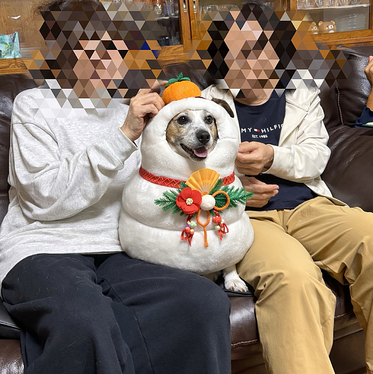 明けましておめでとう御座います
本年も宜しくお願い致します🙇🏻