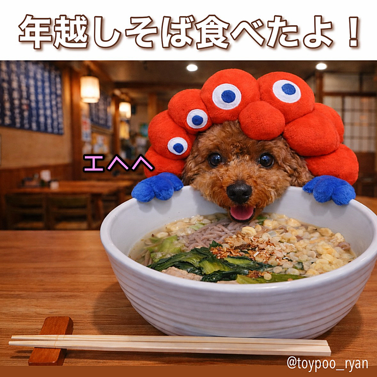 お蕎麦だけリアル😆





