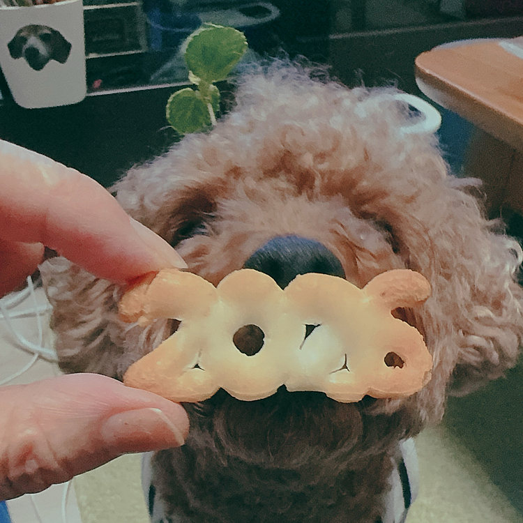 2026のお煎餅🍘

あけぼの❤️






