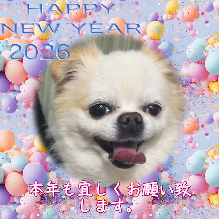 明けましておめでとうございます🌅
大変ご無沙汰しておりましたがポコです。
色々とトラブルあったりはしましたが元気です🐶✨
昨年は色々と忙しくて余裕がなくて後半全然投稿しなくなってしまってました💦
やりたい気持ちはあったんですけどね😅

今年はまた少しずつ投稿頑張ろうと思いますのでどうぞ宜しくお願い致します🙇‍♀️

