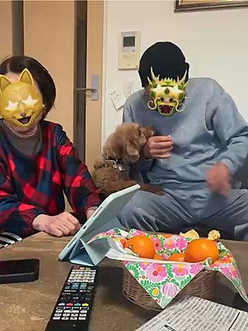 大晦日は私の実家へ🐾

メインはしゃぶしゃぶのはずが母作ポテトグラタンや甘い卵焼き、鶏のキンカン煮、そして父へのリクエストのゴルゴンゾーラのパスタを食べたらお腹いっぱいに💦

パパさんがハッピーを抱っこしていたのですが、目の前にある小皿に取り分けたパスタを1、2本盗み食い🍝
急いで取ろうとしたけど光の速さで間に合わず口の周りに付いたソースも舌舐めずりで綺麗にして無かった事に👅
油断は禁物ですね⚠️