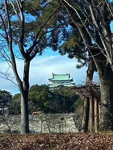 元日はパパさんの実家へ🚗
義母が数日前にギックリ腰になったようで心配しましたが元気そうで一安心😮‍💨
ハッピーはいつも通りちゅーるを2本貰ってご満悦😋
義兄家族も合流して賑やかに過ごしました🍣

初日の出は今年もベランダからハッピーのモフモフ越しに拝みました🙏