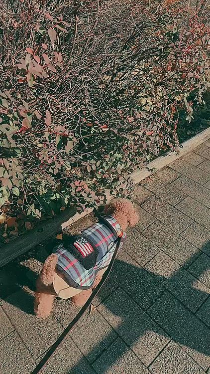 正午は過ぎていますが、

昼間で夕方のような日差し

暖かいけど、日陰は雪の降った名残りがありました

動画になぜ竹内力なのか

それはLINEスタンプを持っているので使いました

なぜ竹内力を持っているのか・・・

夜中に買ってしまい、なぜなのか自分でも理解不能です

この場をお借りして使わせていただきました






