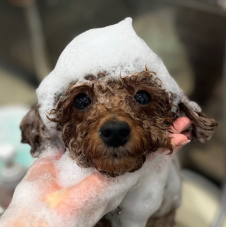 ぽやーっとした顔









