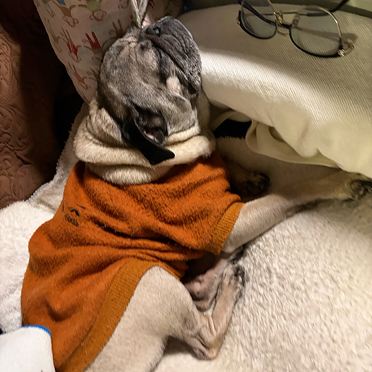 可愛い寝方😍💕！