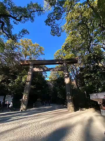 9日仕事帰りに熱田神宮へ⛩️
生まれ育った場所なので七五三やお祭り、初詣に来ていた場所だけど最近行っていないと思い立ちお参りに🙏
新しい施設やお店が出来ていました♪

連休はアウトレットへ🚗
せっかくのカートですが基本立ち乗り🛒
あとは降ろせ、降ろせとうるさい😓
とりあえず抱っこすれば落ち着くけど重くなりカート→騒ぐ→抱っこの繰り返し💦
いつになったら落ち着くのかと言う思いと、そのうちカートの中で大人しく寝るようになったらきっとこのワチャワチャタイムが懐かしいと思う日が来るのだろう、、、