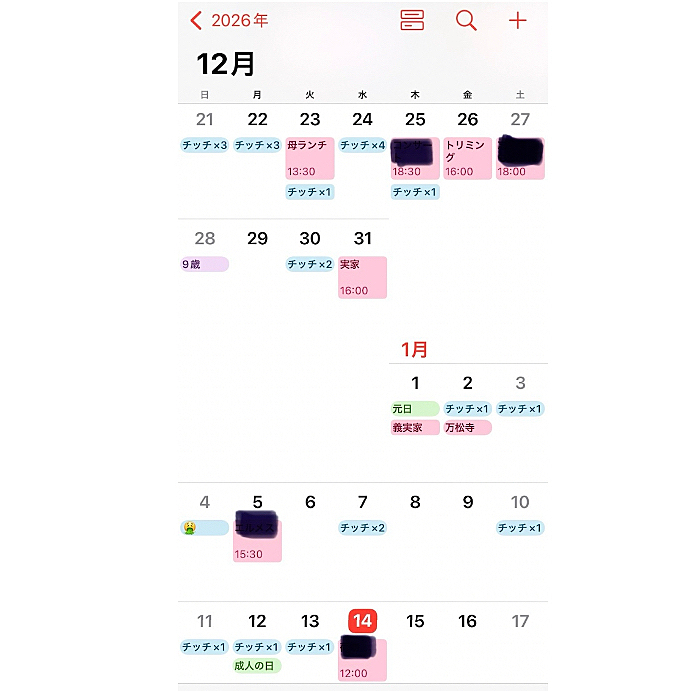 今年こそは毎週投稿しようと思いつつ12月21日から始まった謎の粗相問題が未だ解決しておらず心折れる毎日😭
ブルーの所が粗相の記録🚽
寒空の中ベランダでせっせとカーペットを洗う日々はいつまで続くのやら🤷

投稿しようとした矢先今日もやられました😭