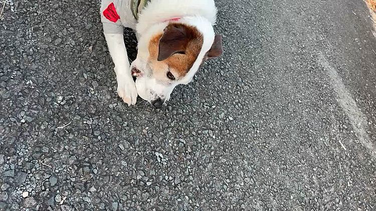 離さない、、🥲