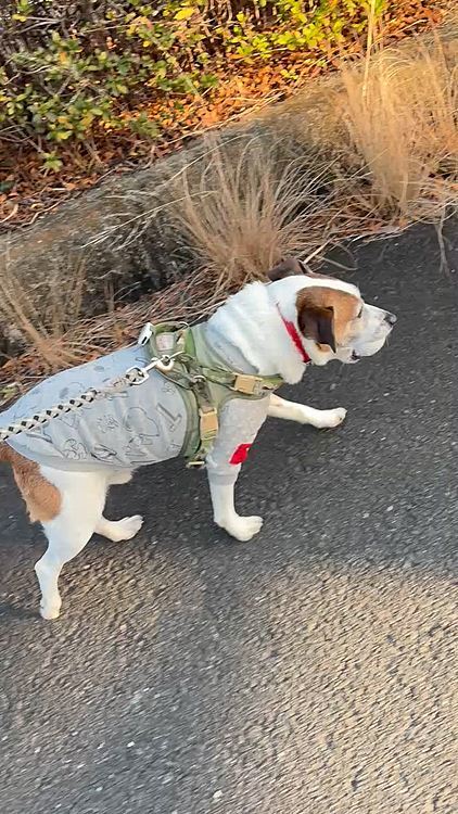 やっぱり離さない、、😱