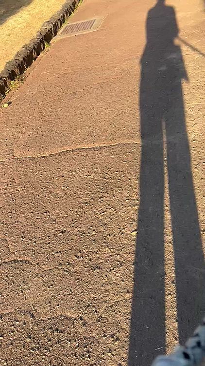 とにかくすみっこを歩きたがる😅