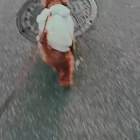 まあまあ多めのクルクル









