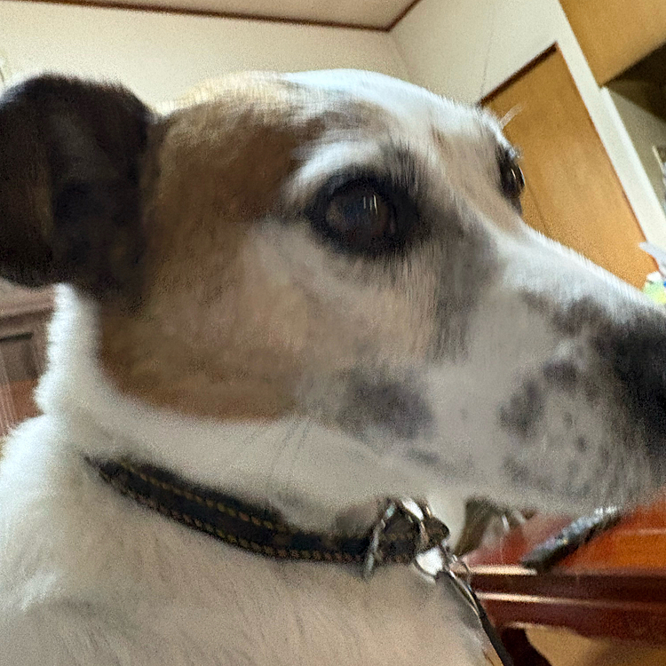 目覚めのドアップ😅