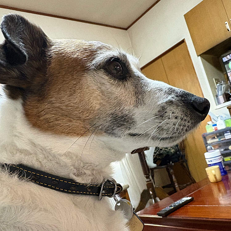 スッキリお目覚め🤭