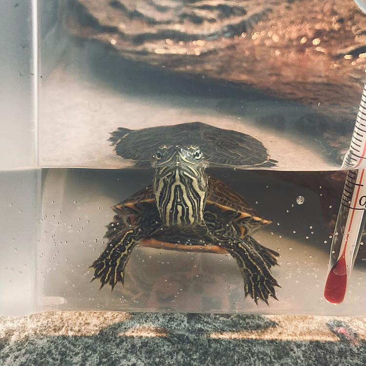 おはようございます☀