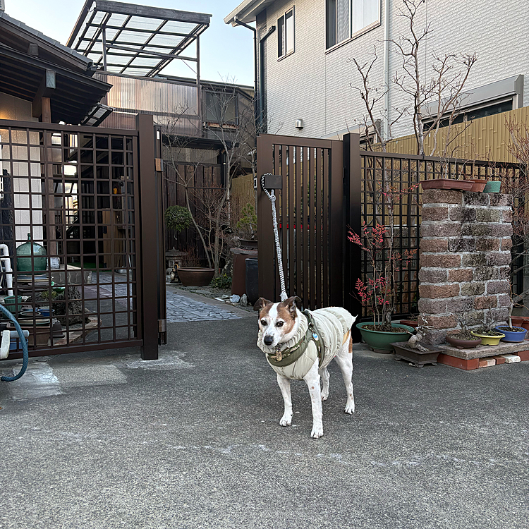 3時間くらいしゃべりまくって
みんな帰ってお散歩へ