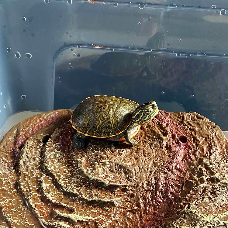 おはようおはよう☺️