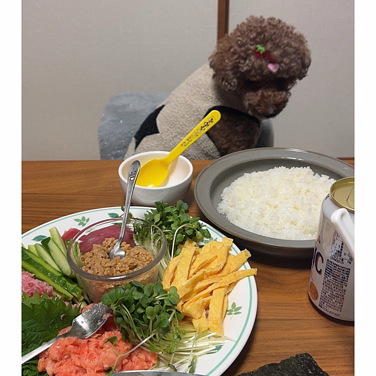 近所のスーパーやお寿司屋さんなどたくさん試しましたが

酢飯が酸っぱい、嫌いな具材が入ってるなどなど

コレ！という太巻きに出会えず

今年は手巻き寿司で太巻きにして食べる方法に

ライちゃんはマグロとシャケを焼いてもらいました

なんだ、恵方巻きとして買うより安く済むよ！








