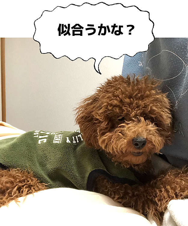 ルカくん服着てみました。
とっても似合ってます♪