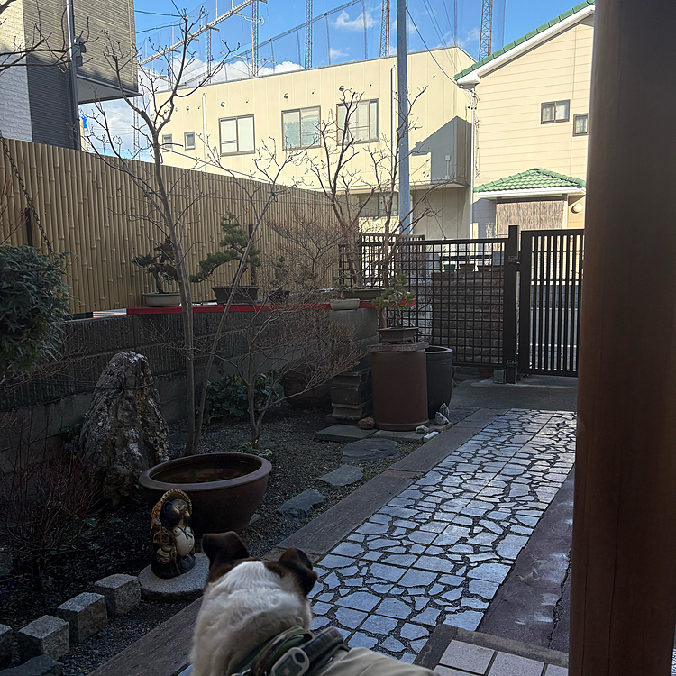 我が家を出て散歩行こうとしたら
すぐそこに雪雲🥶