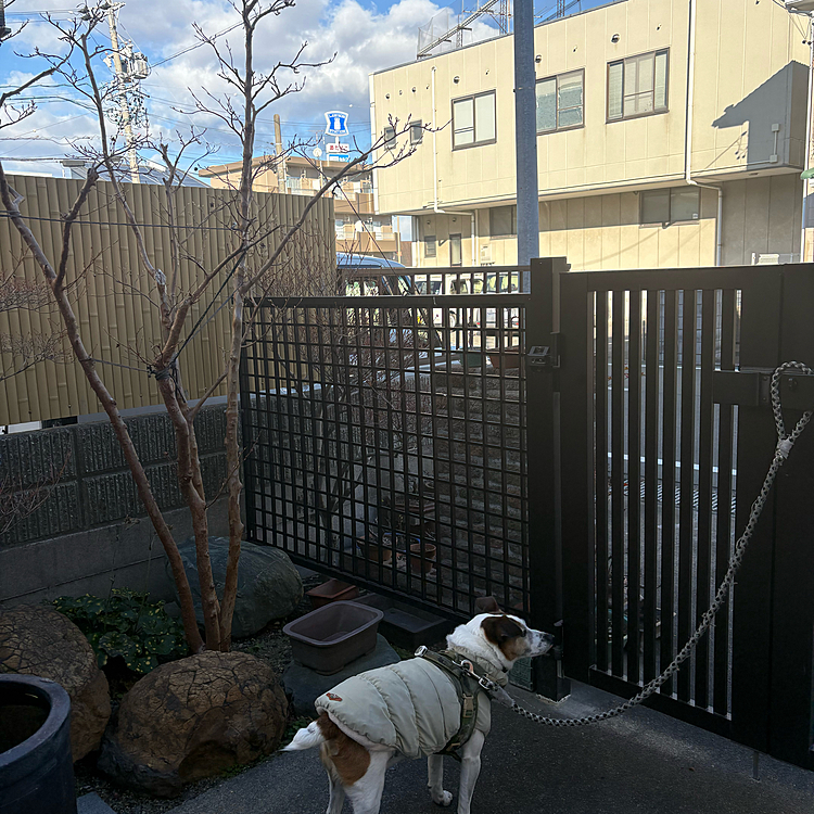 こんなに接近した雪雲は珍しい
夜雪降るかも？
今日は、3週間ぶりのトリミングだったので
タイガー🐯がやたらとフワフワに感じた
🤣🤣🤣
