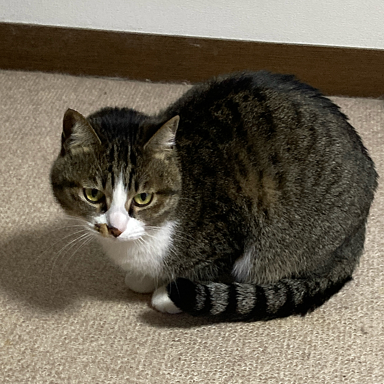 もう寝ようよ。