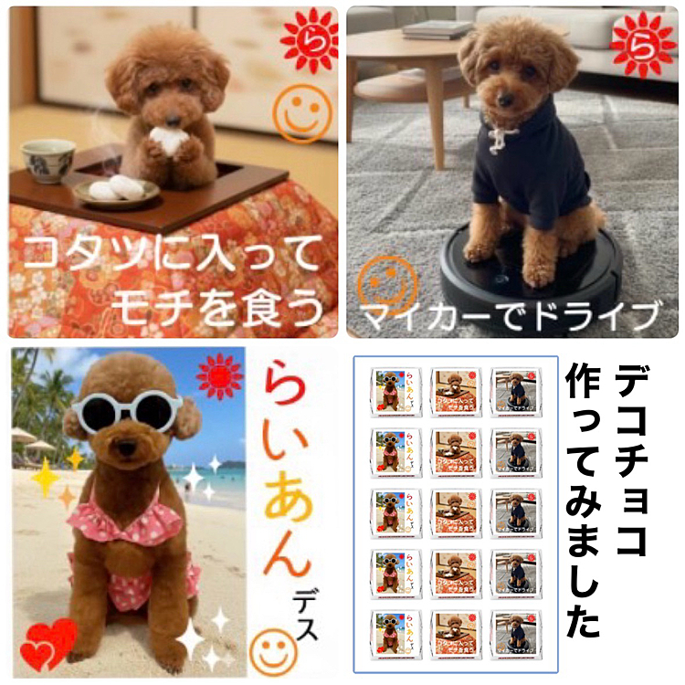 今年はチョコレートを会社の人に配るのやめようかと思っていたんですが

DECOチョコいーかも！と作りました

いつも、出張でお土産買ってきてくれる部署の人たちに

ライちゃんちからお土産でーす😆









