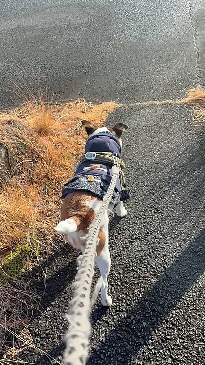 久しぶりの☔️だったがすっかり乾いて