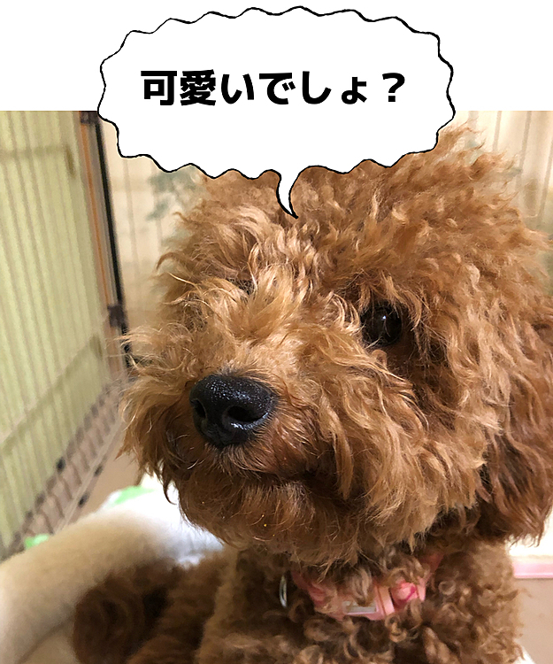 横顔キマってる！