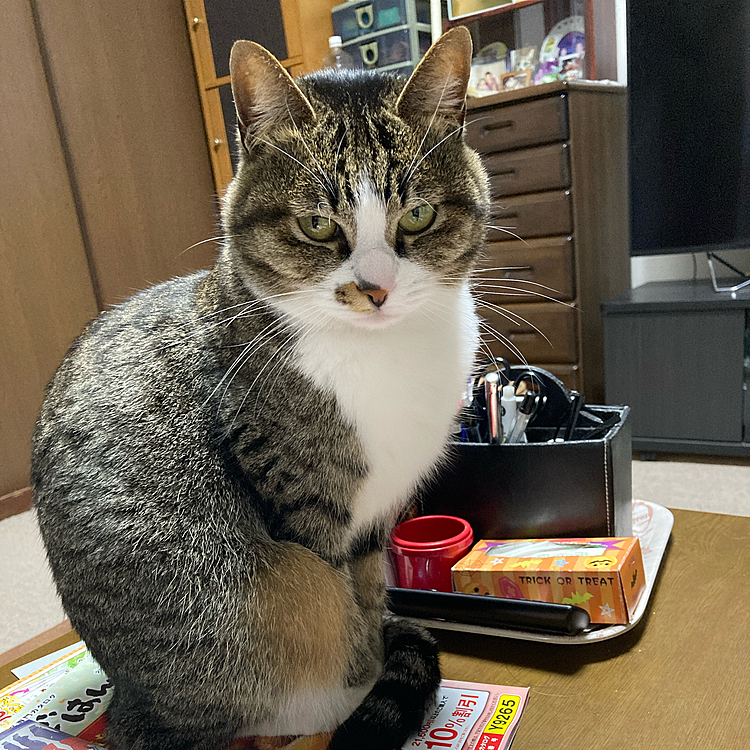 もう10時だよ。早く寝ようよ😀