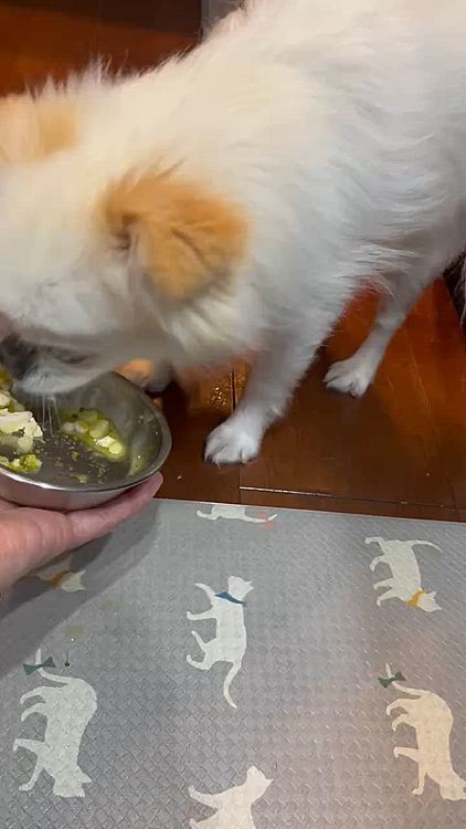 2/3の夜ご飯中。