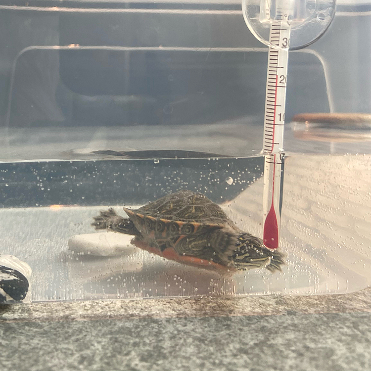 元気よすぎて残像しか撮れない☺️