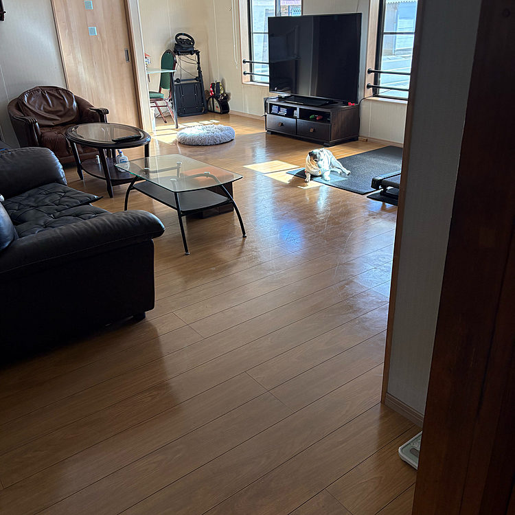 近づいて写真撮るのいやがるが
日向ぼっこにはかなわない🤣🤣🤣