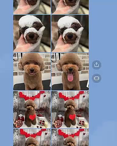 今日は預ける時泣きまくりました

暴れるわけではなく、ただ泣くだけです(いつも)

迎えに行ったらチョーご機嫌なので

ポーズですね😅

「クンクン鳴いて甘えてました」とお手紙に書かれています

小さい連絡カードみたいのもくれます😊

写真のデータはLINEでくれます😊











