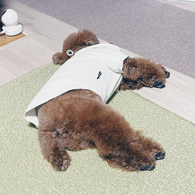 お疲れちゃん☺️








