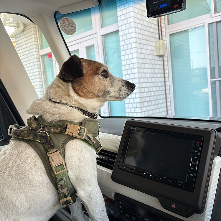 いつものサロンに到着