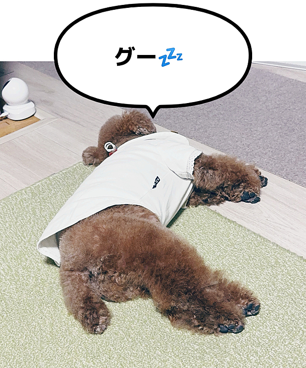 お疲れちゃん😊💕










