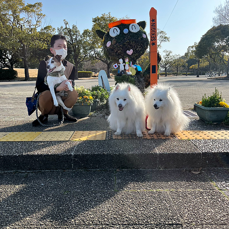 いつもの公園のウナギ犬は
オリンピック仕様だった🤭
冬季24個で連日たのしめた