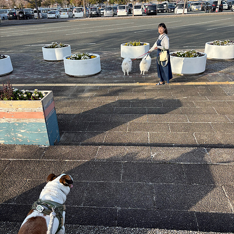 手前のバス🚌用は空いてるが
向こう側の一般用は満車
