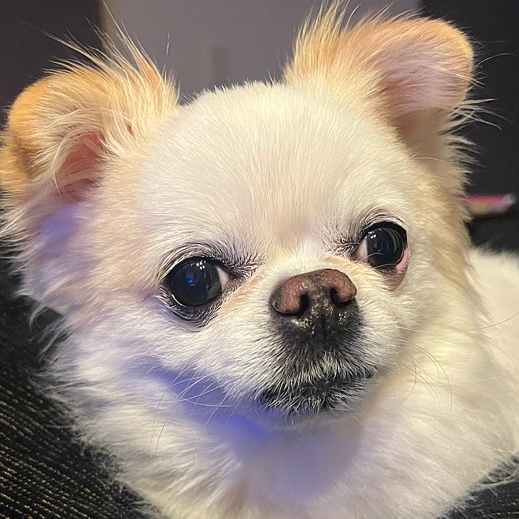 何の表情かなぁ？
ほんと可愛いんだけど😍(親バカ2)