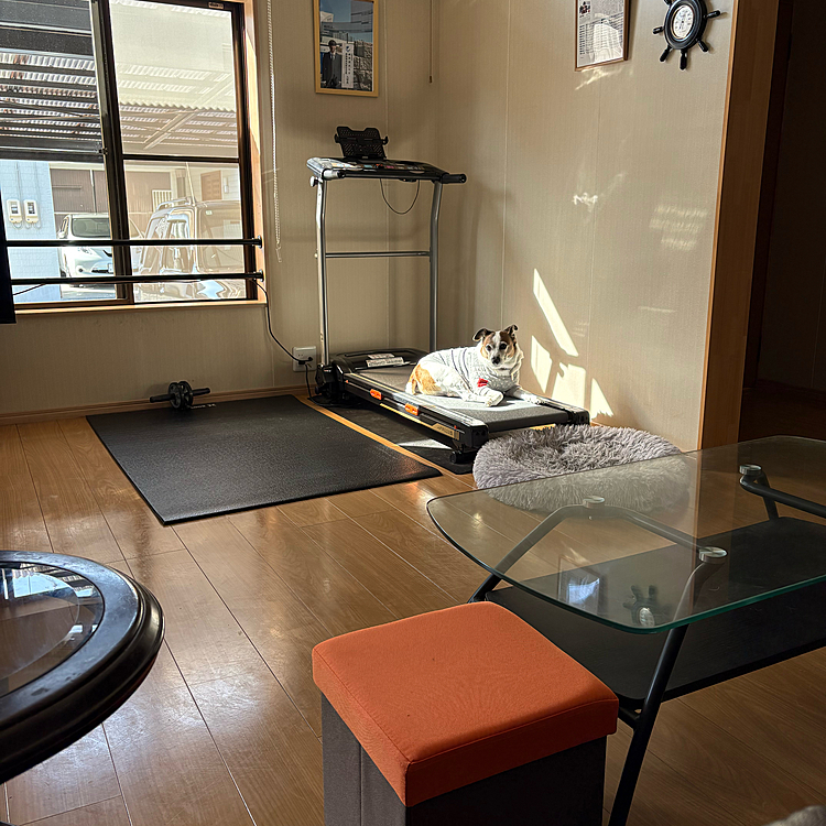 あれ⁉️
タイガー🐯がいない‼️
と思ったらルームランナーの上で日向ぼっこしてた😱