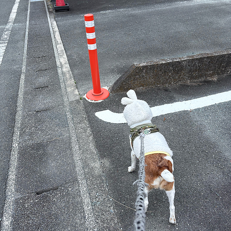 被ってる
被ってる👍
