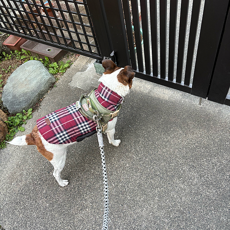今日も寒いから
お洋服着てきます