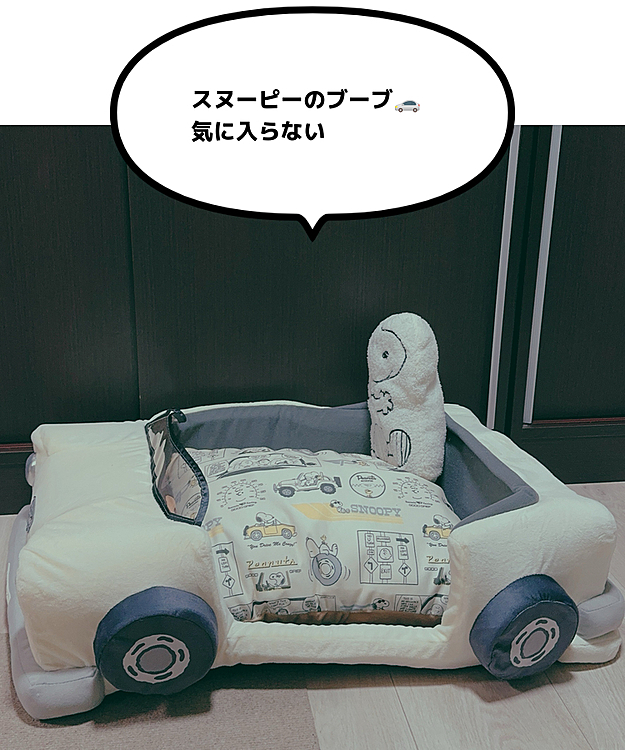 スヌーピーハウスを洗ったらお庭の部分がフカフカになりすぎて気に入らないの！

と入らなくなり

なら誕生日だしクッション買うか！

と買ったら

「これも気に入らない」そうです😅

いつのまにかスヌーピーハウスに入ってたりして

そのうち入るかな

入ってくれい






