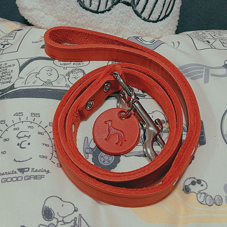 もうひとつの誕プレは

革製品のリードが(飼い主が欲しくて)ドイツの職人さんが作っているという

ジャーマンペットハウスというショップに買いに行きました

実際見に行って良かったです

何でもネットで手に入るけど

ちゃんと見て買いたい物ありますよね








