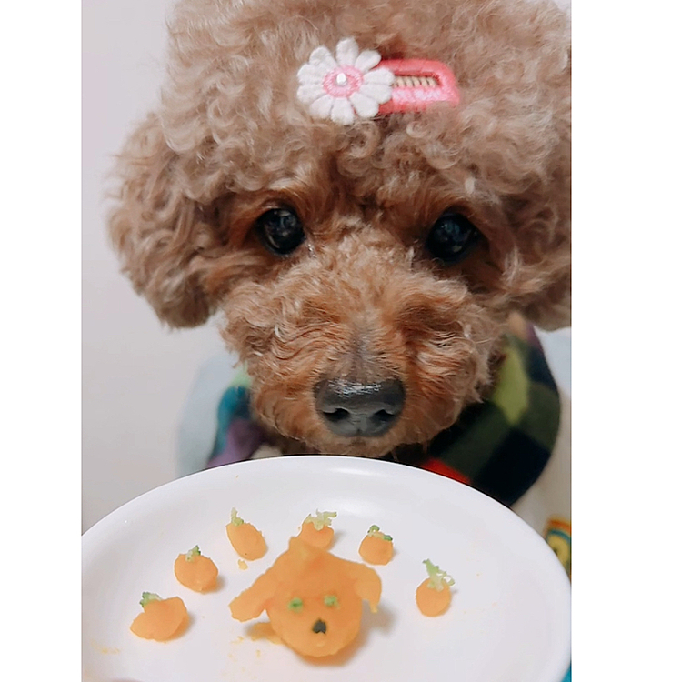 かぼちゃ🎃でバースディプレート🎂の完成

今年は簡単だったね！

丸い６本のろうそくに見立ててます😊








