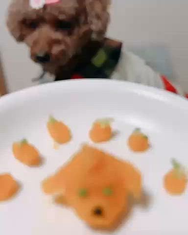 食べてるところの動画です







